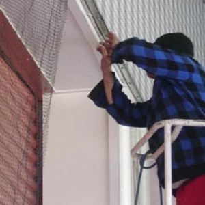 Product Image of Bird Protection Net in Amraiwadi